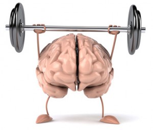 Cerveau muscu VdeV