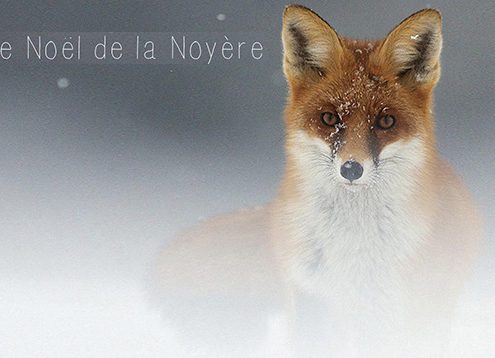 Marché de Noël de la Noyère
