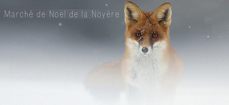 Marché de Noël de la Noyère