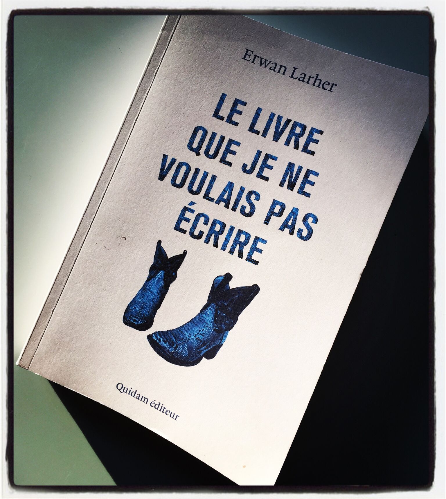 couv livre_preview