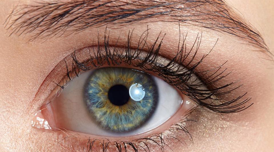 reflexologie oculaire melrose