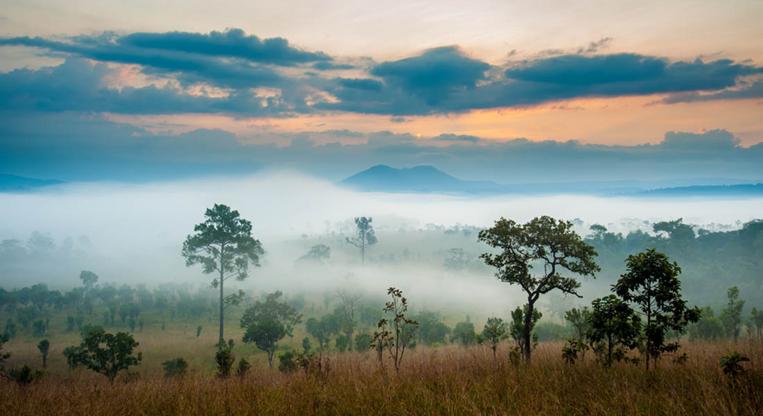 africa