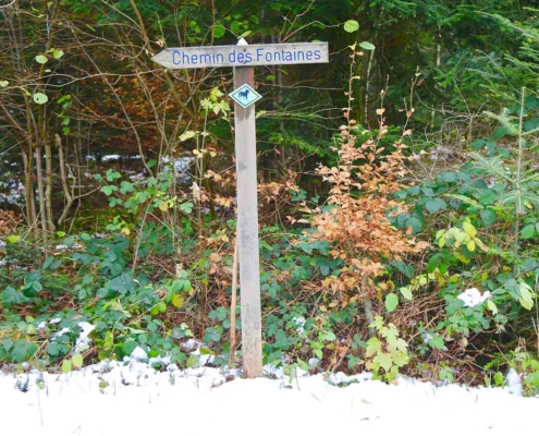 Balade dans la forêt du Jorat sur le chemin des fontaines