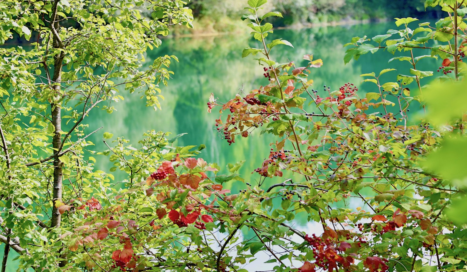 Le Marais de l'étournel