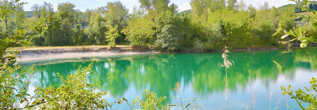 Le Marais de l'étournel