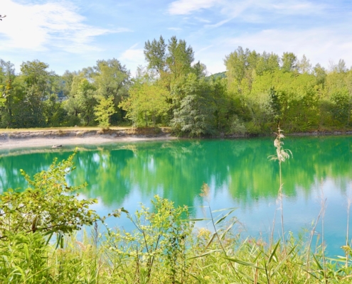 Le Marais de l'étournel