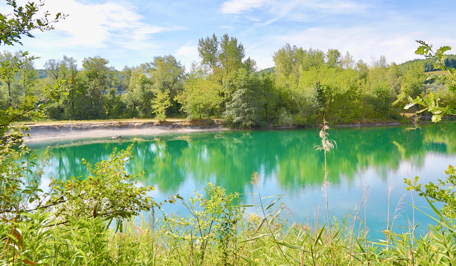 Le Marais de l'étournel