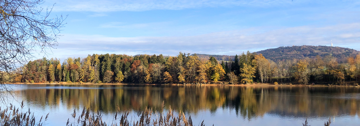 Lac de Bret automne