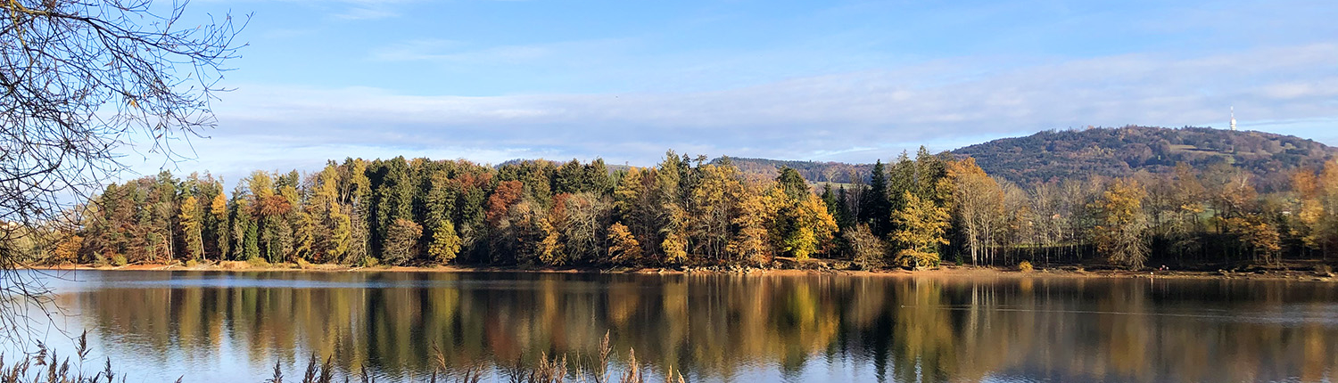 Lac de Bret automne