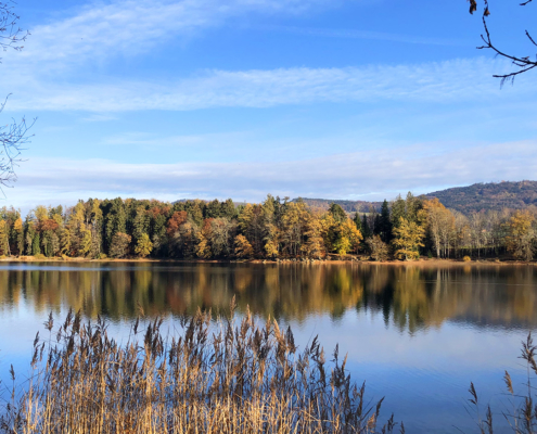 Lac de Bret automne