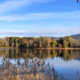 Lac de Bret automne