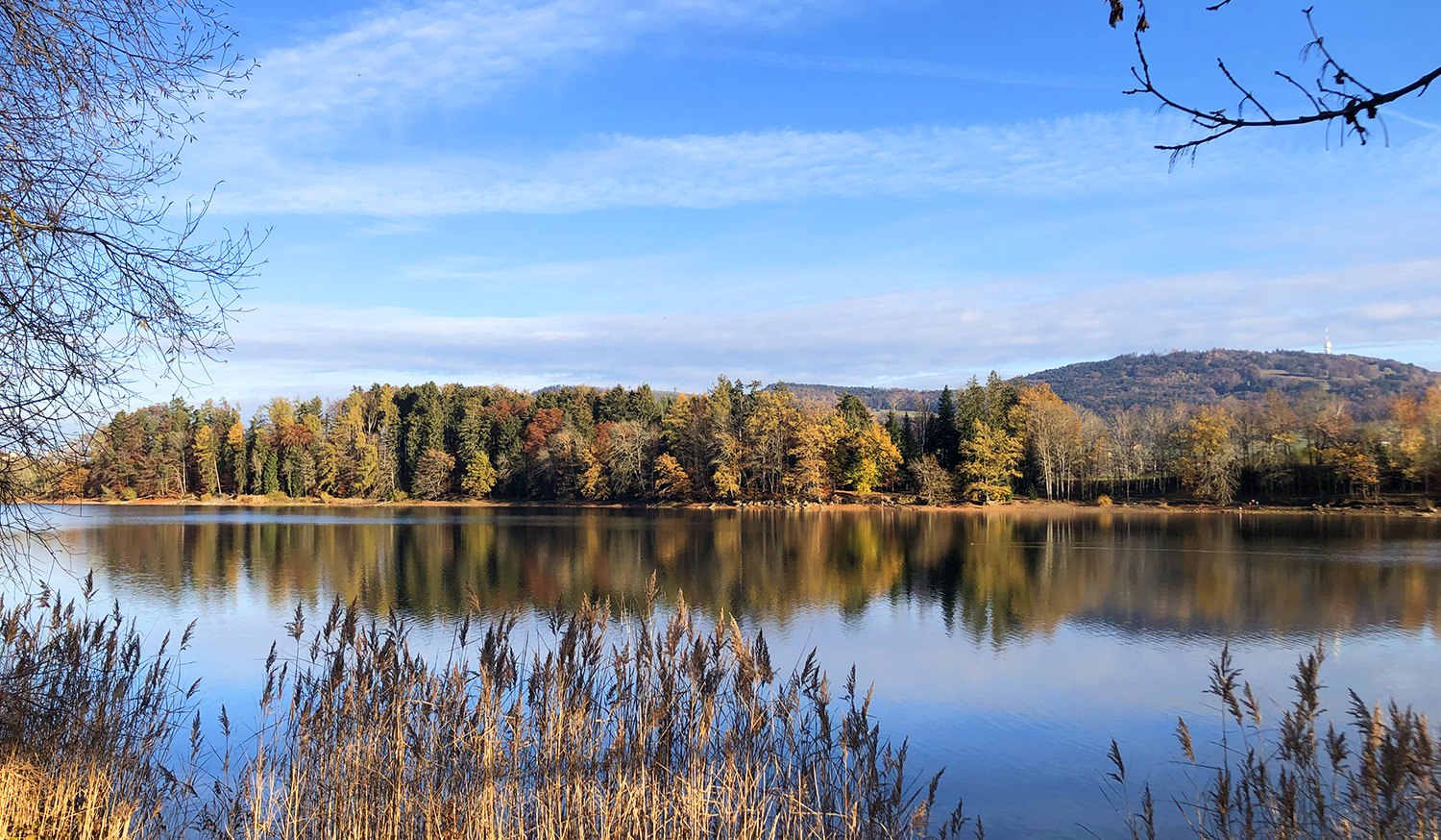 Lac de Bret automne