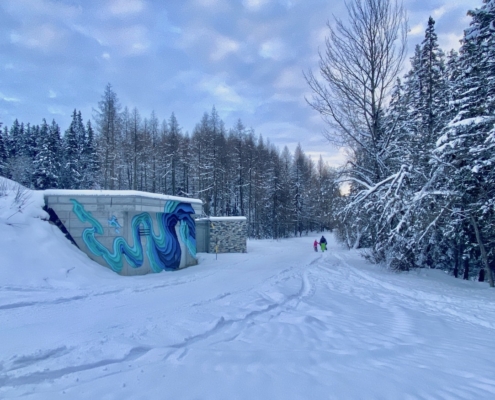 VisionArtFestival, Crans-Montana, 2021