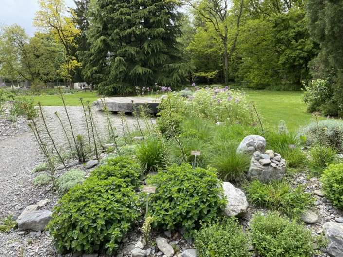 Le jardin botanique alpin de Meyrin