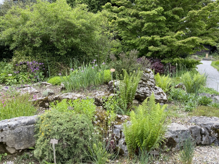 Le jardin botanique alpin de Meyrin