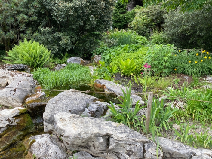 Le jardin botanique alpin de Meyrin