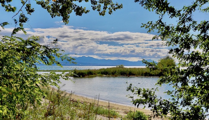 L'île aux oiseaux Préverenges