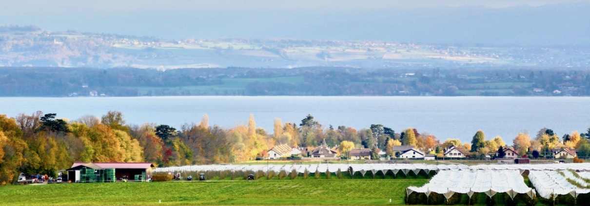 Vue sur le Léman, Céligny, balade , Marie-Christine Billa