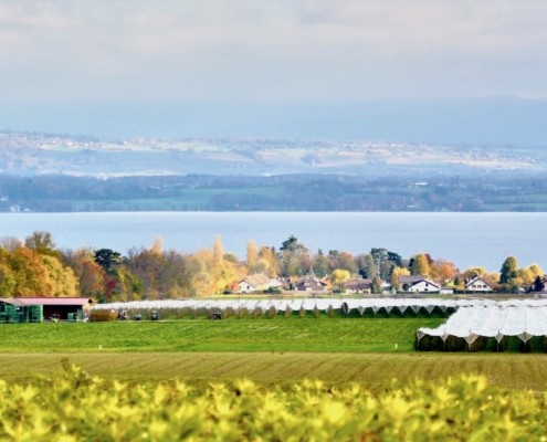 Vue sur le Léman, Céligny, balade , Marie-Christine Billa