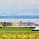 Vue sur le Léman, Céligny, balade , Marie-Christine Billa