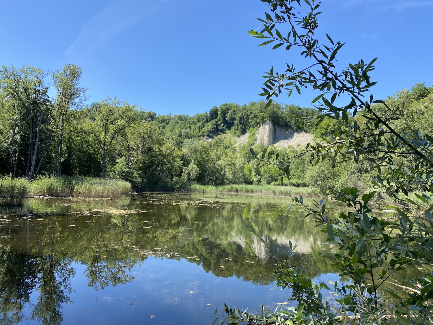 la balade du moulin vert le long du Rhône - réserve naturelle