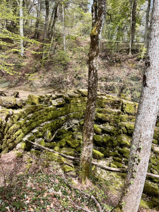 Aux Sources de la Venoge entre l'Isle et Montricher