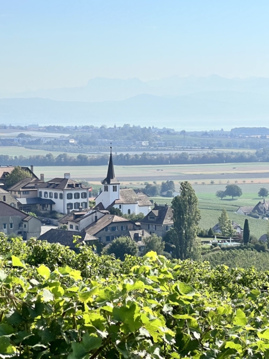 La balade des capites à Féchy