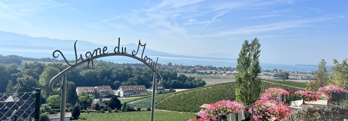 La balade des capites à Féchy